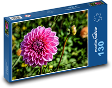 Růžová jiřina - zahradní květina, podzim Puzzle 130 dílků - 28,7 x 20 cm