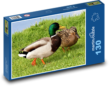 Kachny divoké na trávě Puzzle 130 - 28,7x20 cm