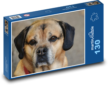Pes - domáce zviera, štvornohé Puzzle 130 dielikov - 28,7 x 20 cm 