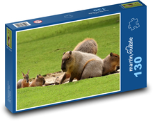 Kapybara - zvíře, savec Puzzle 130 dílků - 28,7 x 20 cm