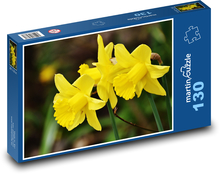Narcisy - jaro, květ Puzzle 130 dílků - 28,7 x 20 cm