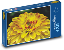 Žltá georgína - záhradný kvet Puzzle 130 dielikov - 28,7 x 20 cm