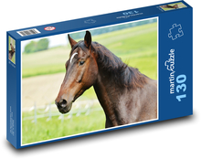 Horse - stallion, farm Puzzle 130 pieces - 28.7 x 20 cm 