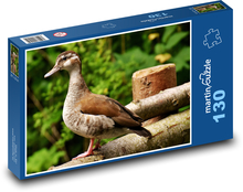 Kačica - vodný vták, zviera Puzzle 130 dielikov - 28,7 x 20 cm 