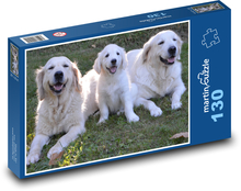 Zlatý retriever - psy, šteňa Puzzle 130 dielikov - 28,7 x 20 cm 
