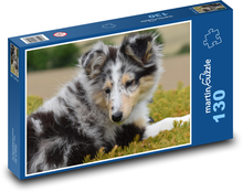 Hund - Shetland Shepherd, Wand Puzzle 130 Teile - 28,7x20 cm