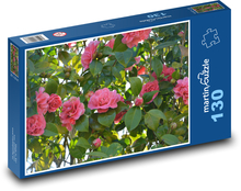 Kamélie - květiny, růžový květ Puzzle 130 dílků - 28,7 x 20 cm