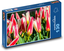 Tulips - flowers, garden Puzzle 130 pieces - 28.7 x 20 cm 