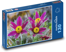 Koniklec - flower, spring Puzzle 130 pieces - 28.7 x 20 cm 