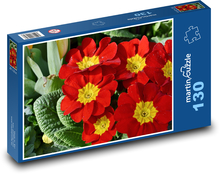 Primule - parsley, spring flower Puzzle 130 pieces - 28.7 x 20 cm 
