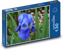 Kosatec - modrý, zahrada Puzzle 130 dílků - 28,7 x 20 cm