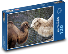 Ťavy - zviera, safari Puzzle 130 dielikov - 28,7 x 20 cm 