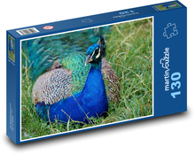 Paw - ptak, pióra Puzzle 130 elementów - 28,7x20 cm