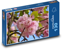 Čerešňový kvet - jar, park Puzzle 130 dielikov - 28,7 x 20 cm 