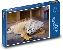 Iguana - plaz, zoo Puzzle 130 dielikov - 28,7 x 20 cm 