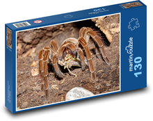 Tarantule - pavouk, zvíře Puzzle 130 dílků - 28,7 x 20 cm