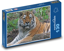 Tygr - velká kočka, dravec Puzzle 130 dílků - 28,7 x 20 cm