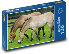 Kůň převalský - divoký, zvíře Puzzle 130 dílků - 28,7 x 20 cm