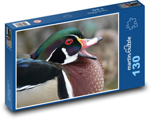 Kachna - pták, zvíře Puzzle 130 dílků - 28,7 x 20 cm