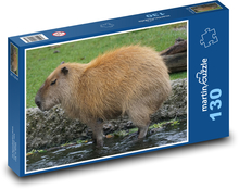 Kapybara - hlodavec, zviera Puzzle 130 dielikov - 28,7 x 20 cm 