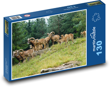 Mufflon - eine Herde von Huftieren Puzzle 130 Teile - 28,7x20 cm