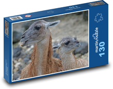 Guanaco - Lama, Paarhufer Puzzle 130 Teile - 28,7x20 cm