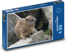 Daman - animal, Africa Puzzle 130 pieces - 28.7 x 20 cm