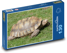 Żółw - gad, zwierzę Puzzle 130 elementów - 28,7x20 cm