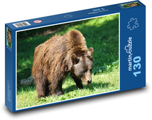 Medveď hnedý - zviera, dravec Puzzle 130 dielikov - 28,7 x 20 cm 