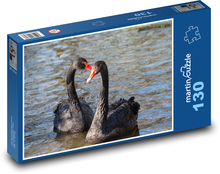 Čierna labuť - vták, rybník Puzzle 130 dielikov - 28,7 x 20 cm 
