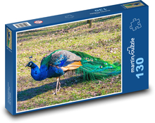 Páv - pták, zvíře Puzzle 130 dílků - 28,7 x 20 cm