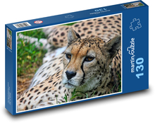 Gepard - bestia, duży kot Puzzle 130 elementów - 28,7x20 cm