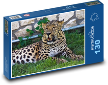 Levhart - kočkovitá šelma, zoo Puzzle 130 - 28,7x20 cm