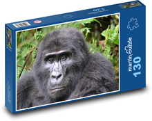 Gorila - Uganda, prales Puzzle 130 dílků - 28,7 x 20 cm