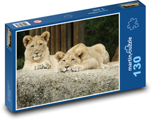Mládě lva - dvojčata, zvířata Puzzle 130 dílků - 28,7 x 20 cm