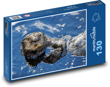 Mořská vydra - vodní živočich, voda Puzzle 130 dílků - 28,7 x 20 cm