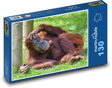 Orangutan - spiace opice, zviera Puzzle 130 dielikov - 28,7 x 20 cm 