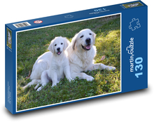 Zlatý Retriever - štěně, pes Puzzle 130 dílků - 28,7 x 20 cm