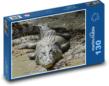 Krokodýl - masožravec, plaz Puzzle 130 dílků - 28,7 x 20 cm