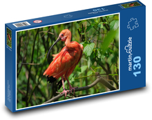 Ibis - pták, divoké zvíře Puzzle 130 dílků - 28,7 x 20 cm