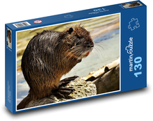 Nutria - zwierzę, szczur wodny Puzzle 130 elementów - 28,7x20 cm