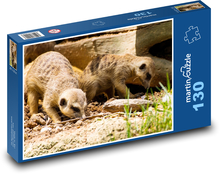 Meerkat - animal, Africa Puzzle 130 pieces - 28.7 x 20 cm