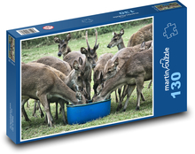 Jeleň - divá zver, zvieratá Puzzle 130 dielikov - 28,7 x 20 cm 