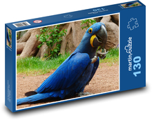 Modrý papoušek - hyacintový papoušek Puzzle 130 dílků - 28,7 x 20 cm
