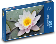Bílý leknín - květ, rybník Puzzle 130 dílků - 28,7 x 20 cm