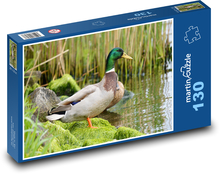Dzika kaczka - kaczka, ptak Puzzle 130 elementów - 28,7x20 cm