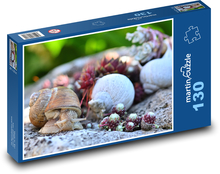 Schnecke - kriechende Schnecke, Muschel Puzzle 130 Teile - 28,7x20 cm