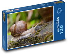 Snail - mollusk, snail Puzzle 130 pieces - 28.7 x 20 cm 