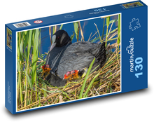 Lyska - pták, hnízdo Puzzle 130 dílků - 28,7 x 20 cm