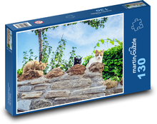 Koty na ścianie - pupile, zwierzęta Puzzle 130 elementów - 28,7x20 cm